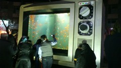 Red fish TV idol iran mashhad