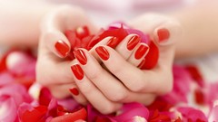 Red hands rose petals