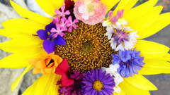 Red pink Flowers bouquet