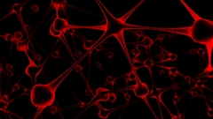 Red The Know fans feeling buying led everything