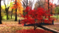 Red tree diary nature