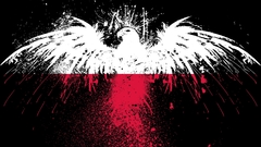 Red white Eagles Flags