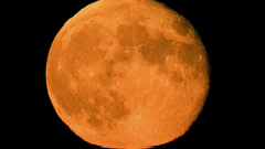 Redflash seip red moon