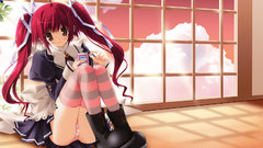 Redheads thigh highs