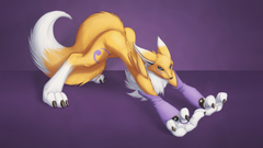Renamon Digimon furry fandom