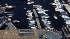 Renault reb alain prost