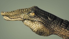 Reptiles World Wildlife Fund