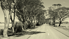 Requesting gaudi architecture from