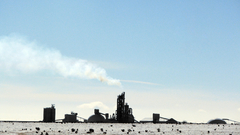 Resize resized to Normal