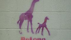 Resized these yet high