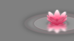 Rhapsody and gray by