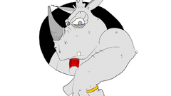 Rhinoceros
