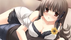 Ribbons blush anime girls brown eyes kasumi ikegami akane game 