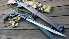 Rifles Guns weapons Enfield