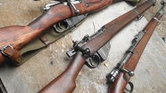 Rifles Springfield