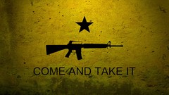 Rifles Stars Flags USA