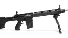 Rifles weapons AR-10