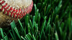 Right side schilling nature