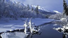 River eagle Alaska snow