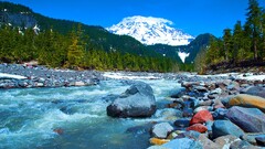 river stones Mountains mount rainier national park USA nature