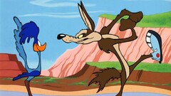 Road Runner cartoon looney tunes TV series