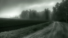 Road strange creepy