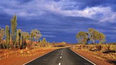 Roads Trees streets deserts