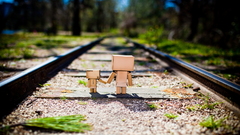Robot cardboard tilt-shift together