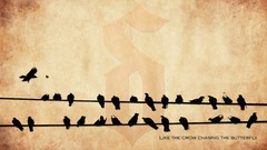 Rock Butterflies band Lyrics crows shinedown