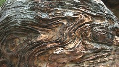 Rock formations garden of the gods