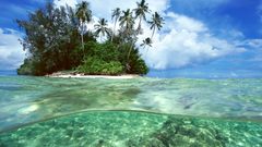 Rocks Islands palm trees
