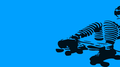 Roller dm dual Monitor