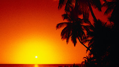 Romantic couple high