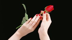 Roses hands black background red rose