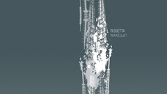 Rosetta