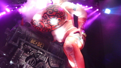 Rosie if stupidity did