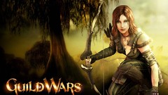 RPG guild wars video games fantasy art Guild Wars Nightfall