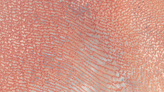 Rubalkhali etm lrg and