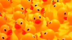 Rubber ducks