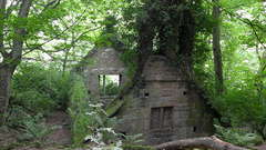 Ruins architecture buildings woods