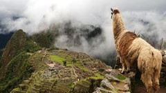 Ruins peru Machu Picchu