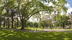 Run com 1920x1200 panedia