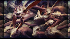 Ryohei hase hands rabbits