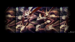 Ryohei hase hands rabbits