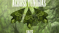 Sage experimental album covers