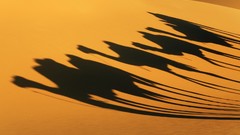 Sahara shadows libya