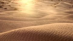Sahara sunwinddunes high