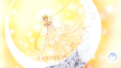 Sailor moon bishoujo senshi