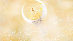 Sailor moon bishoujo senshi