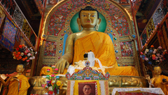 Sakyamuni buddhafraid not high